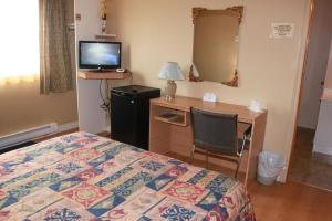 a bedroom with a bed and a desk and a television at Motel Boisé in Blainville +35 photos