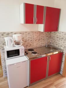 a small kitchen with a stove and a microwave at Plitvice Mountain Spring in Korenica