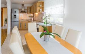 Kuchnia lub aneks kuchenny w obiekcie Apartments Contessa