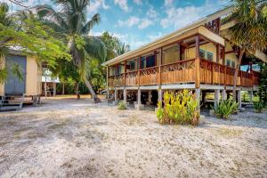 a house on the beach with a palm tree at Casa Jessita in Caye Caulker