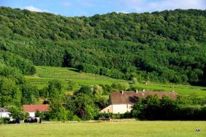 a green hillside with a house in the middle of a field at 2 chambres d'hôtes privées louées séparément avec communs à partager in Beaufort