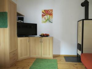 TV a/nebo společenská místnost v ubytování Walcheggerhof