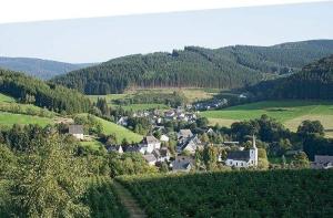 małe miasteczko w środku zielonej doliny w obiekcie Pension Alois Hennecke w mieście Schmallenberg