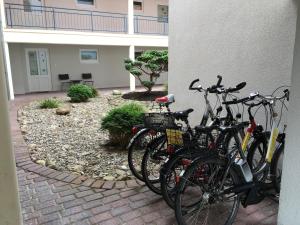 eine Gruppe von Fahrrädern, die neben einem Gebäude geparkt werden in der Unterkunft Fehmarn Oase in Petersdorf auf Fehmarn