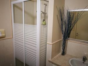 a bathroom with a shower and a sink at B&B Covidafranciacorta in Castrezatto