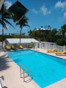 una gran piscina con sillas y TV en la parte superior en Kingsail Resort, en Marathon