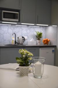 Kuchnia lub aneks kuchenny w obiekcie JessApart – Ochota Apartments