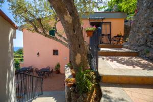 a tree in front of a house with some plants at Il Glicine in Cetara