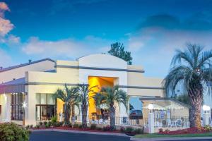 拉德森的住宿－萊德森戴斯酒店，棕榈树酒店前方的 ⁇ 染