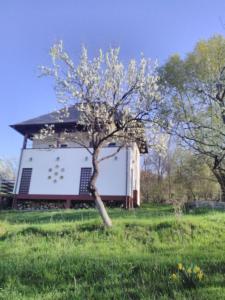 un árbol frente a un edificio en un campo en Cottage Poe, en Poienari