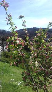 Paesaggio naturale nelle vicinanze del bed & breakfast