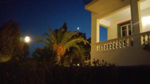 a house at night with a palm tree and a street light at Blue Dolphin in Batsi