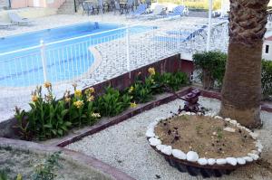 a garden with a tree and a swimming pool at Ionian Balcony in Lixouri