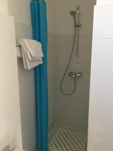a shower with a blue shower curtain in a bathroom at Vicolo del Pozzo in Barolo