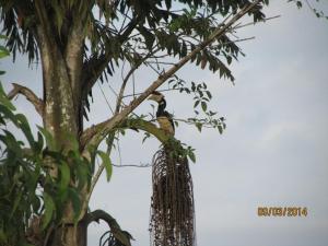 Afbeelding uit fotogalerij van SONA VILLA, THE LAKE CHALET in Kudāl