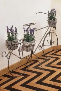 a metal plant stand with three plants in baskets on it at Domus Paradiso City Center in Rome
