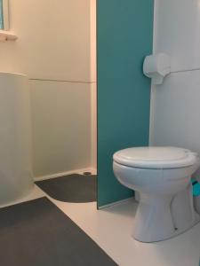 a bathroom with a white toilet and a blue wall at Boerderijcamping de Kreitsberg in Zeeland