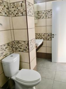 a bathroom with a toilet and a sink at A.A Michael Apartments in Pachyammos