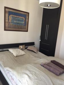 Posteľ alebo postele v izbe v ubytovaní Apartament "Czantoria"