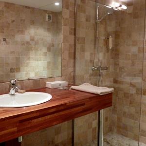 a bathroom with a sink and a shower at Hôtel Amphithéâtre in Arles