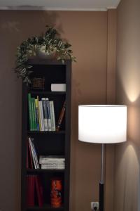 een boekenplank met een lamp en een plant bij Apartamento Nuevo Baztan in Elizondo