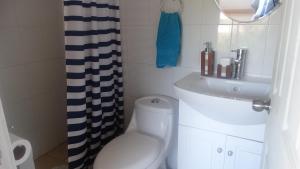a bathroom with a white toilet and a sink at Casa Estela del Mar in Pelluhue +31 photos
