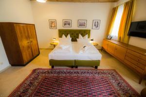 Schlafzimmer mit einem Bett, einem TV und einem Teppich in der Unterkunft Hotel Luis Stadl in Regensburg