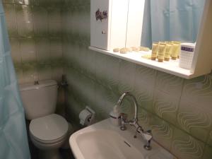 a bathroom with a toilet and a sink and a mirror at Floral Tribute Studio in Kavála