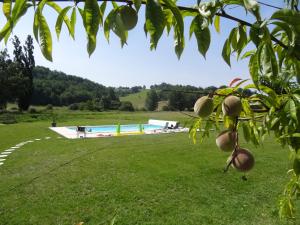 Gallery image of Moulin de la Peyriere in Cazes-Mondenard