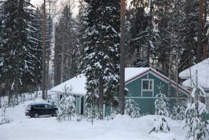 zielony dom z samochodem zaparkowanym na śniegu w obiekcie Spa Suites Ikaalisten Kylpylä w mieście Ikaalinen