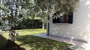 A garden outside CASA GIULIA a Borso del Grappa