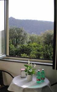 Nespecifikovaný výhled na hory nebo výhled na hory při pohledu z bed and breakfast