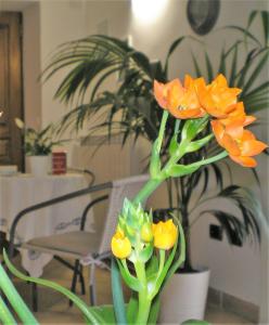 Fotografie z fotogalerie ubytování Itaca B&B v destinaci Piano di Sorrento