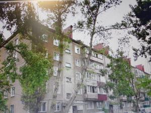 ユジノ・サハリンスクにあるДвухкомнатная квартираの木立の高い建物