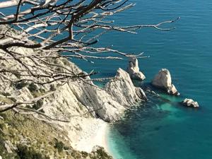 Příroda nedaleko bed and breakfast