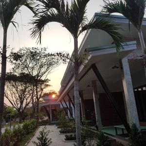 a house with palm trees in front of it at DD Garden Home in Phayao