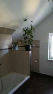 ein Badezimmer mit einer Badewanne mit Topfpflanze in der Unterkunft Ferienhaus Tüchler in Tamsweg