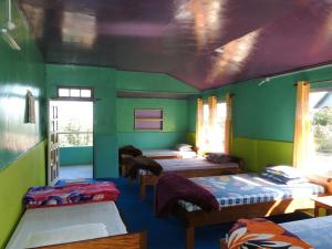 a room with four beds in a room with green walls at Vamoose Kharka in Mangpu