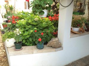 Vonkajšia záhrada v ubytovaní Guesthouse Kresic