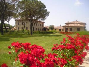 un giardino con fiori rossi di fronte a una casa di Principe Del Trasimeno a Castiglione del Lago