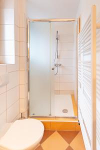 a bathroom with a shower and a toilet at Apartment Sirius E in center of CB in České Budějovice