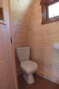 Baño pequeño con aseo y lavamanos en Gold Camping Seeboden, en Seeboden