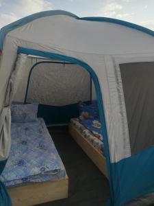 Снимка в галерията на Camping Casuta Mihaela в Кришан