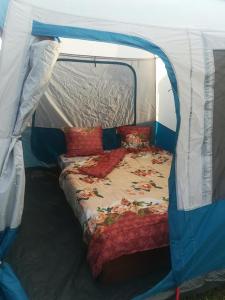 เตียงในห้องที่ Camping Casuta Mihaela