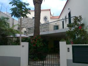 a house with a palm tree and a fence at Villa Pitta in Vila Baleira