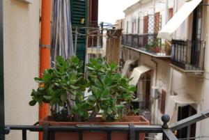 un balcón con macetas en el lateral de un edificio en Casa Rubino, en Cefalú