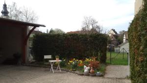 a garden with a table and flowers and a hedge at Wendler`s Haus in Meuselwitz