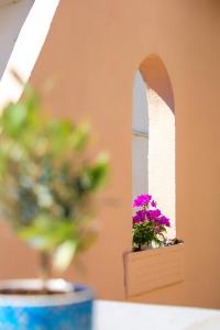 a table with a flower pot and a mirror at The Old Salt in Kavala