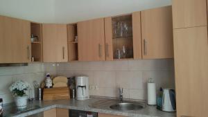 a kitchen counter with a sink and wooden cabinets at Wendler`s Haus in Meuselwitz