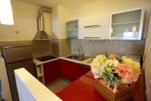 Kuchyňa alebo kuchynka v ubytovaní Apartman Lucita